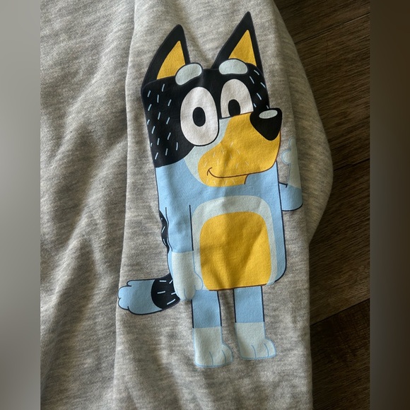 NEW Women’s Bluey Graphic Sweatshirt. - Picture 7 of 10